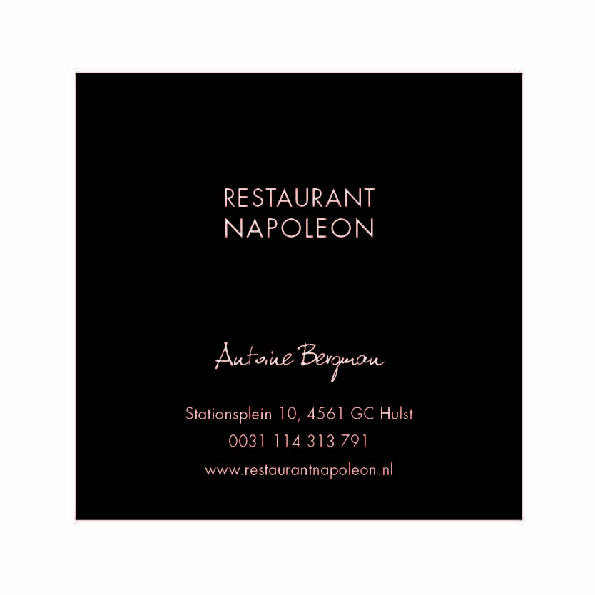 logo https://restaurantnapoleon.nl/